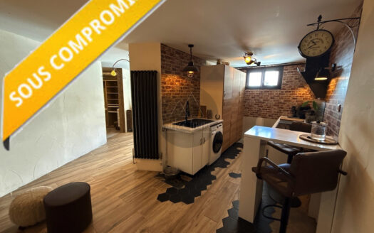 APPARTEMENT 2 pieces de 42,50 m2 – Tignes Val-Claret – Residence Genepis – Ref 2025-02